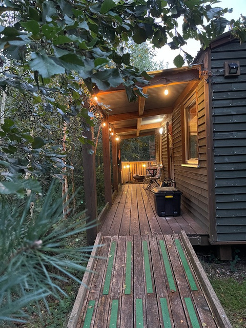 Daisy log cabin living area