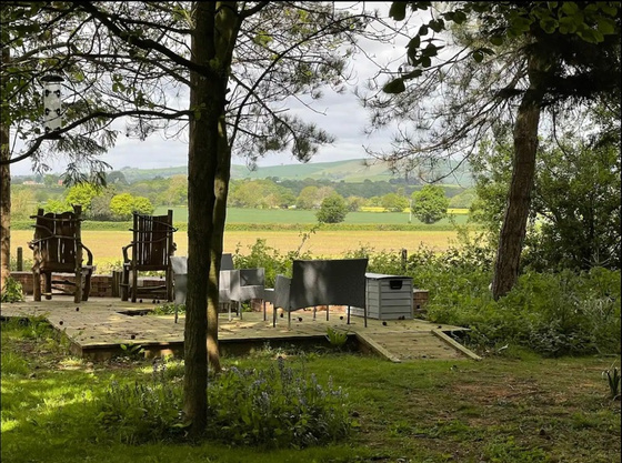 Woodland path across the Devon retreat site